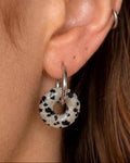 Dalmatian Jasper Hoop Earrings